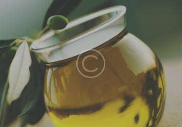 Treating The Olive Trees Like Grapevines